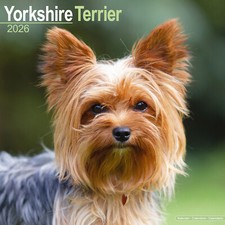 Yorkshire Terrier 2026 Calendar | Dog Breed Gift Wall 15% OFF MULTI ORDERS