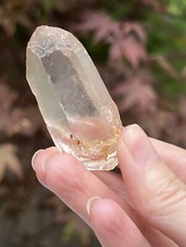 Pink Lemurian Seed Quartz