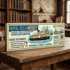 Royal Iris of the Mersey 40cm