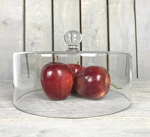 Glass dome cover large - dome,