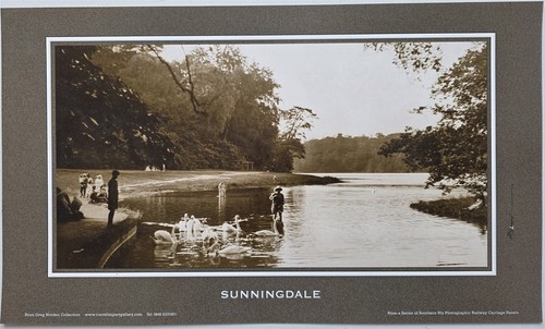 Sunningdale berks repro - berks,
