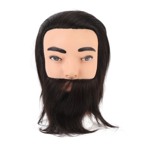 Male mannequin head with - head,