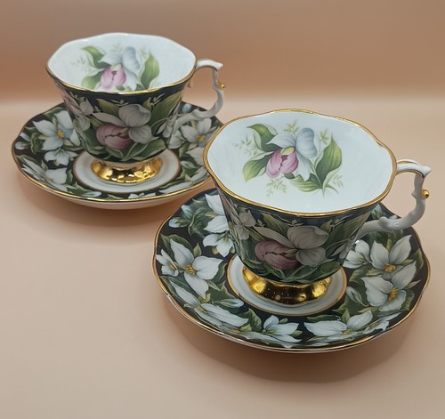 Royal albert provincial - albert,