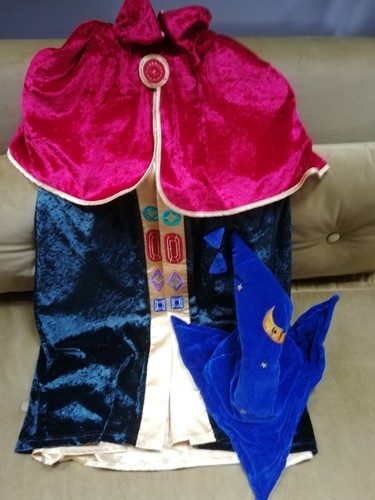 Long velvet fancy dress cloak - dress,