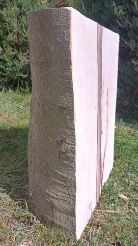 Log side table - , stump