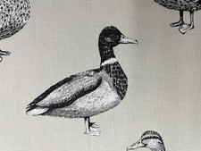 Ducks Birds Cotton  Fabric