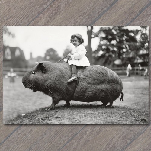Art print guinea pig kids - art,