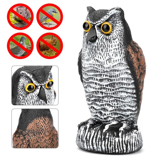 Owl decoy statue protect - owl,