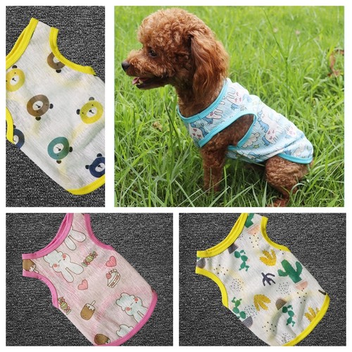 Dog blue pink - blue, puppy