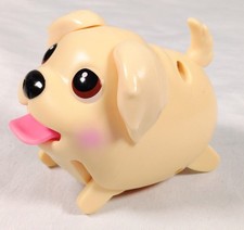 Chubby Puppies & Friends