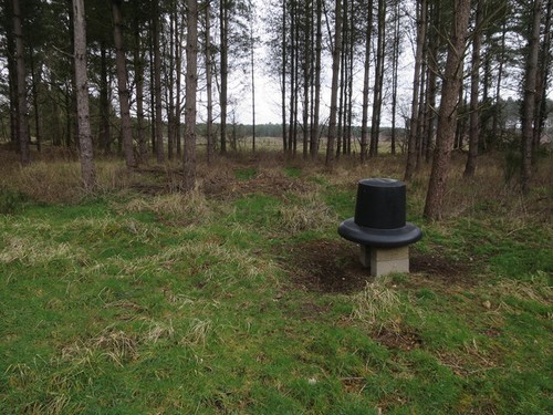 Photo 6x4 pheasant - photo, feeder
