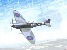 Mike Jupp - Giant 1000 Piece