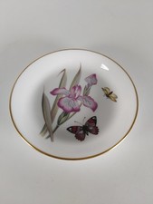 Royal Worcester Iris &