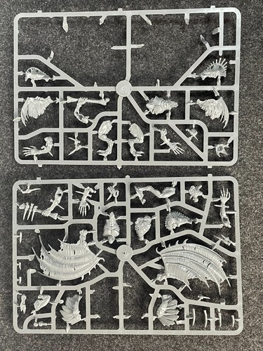 Crypt flayers horrors - crypt,
