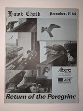HAWK CHALK DECEMBER 1984
