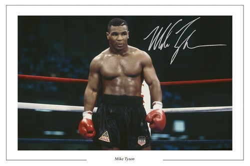 Mike tyson boxing signed - tyson,