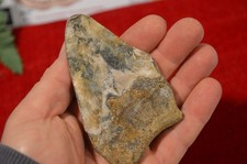 budget  3.8"  GENUINE  MEGALODON SHARK TOOTH, BEST VALUE MEGS ,U.K #DB220