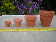 Terracotta clay plant - plant, pots