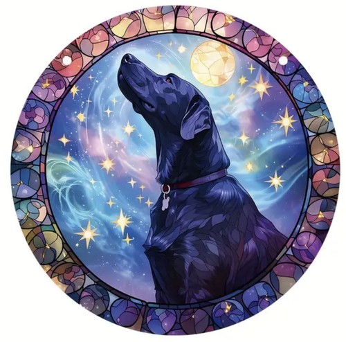 Labrador black dog stars - labrador,