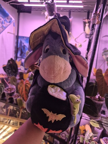 Eeyore limited edition - eeyore,