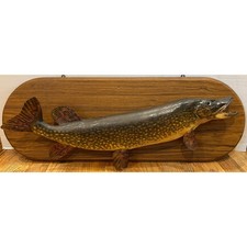 Vintage Northern Pike Fish