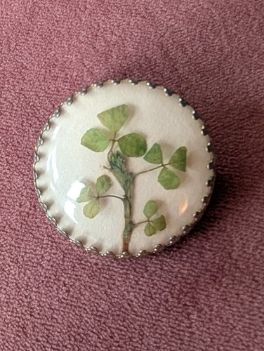 Vintage shamrock brooch - shamrock, set