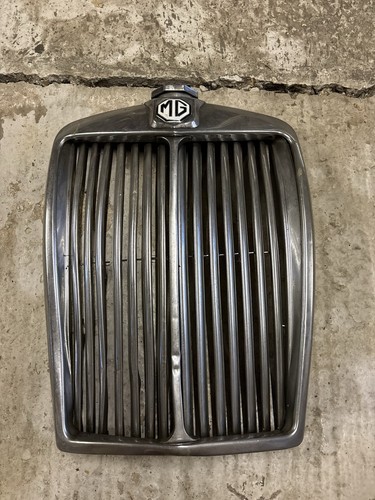 Magnette radiator grille - magnette,