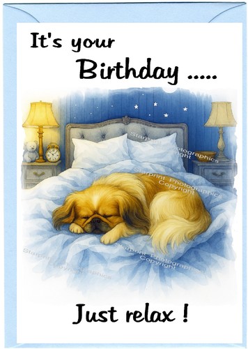 Pekingese peke dog - /, x