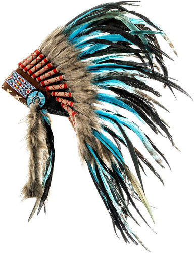Feather headdress native - feather,