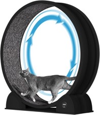Cat Exercise Wheel Large Cat