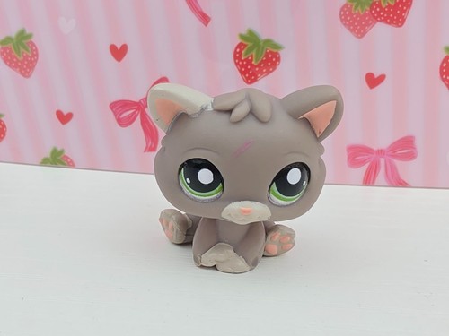 Littlest pet shop 1607 - shop, cat