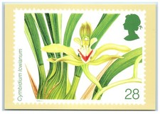 PHQ 151 c Postcard Orchids Cymbidium Iowianum Stamp Card