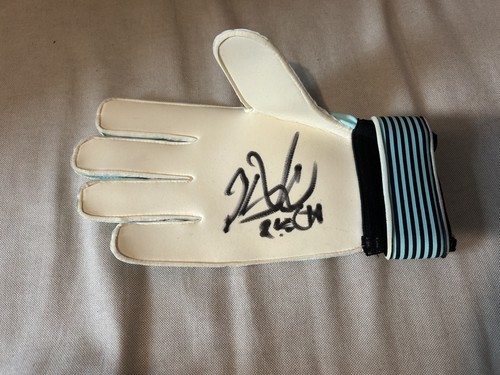 Petr cech chelsea arsenal - chelsea, /