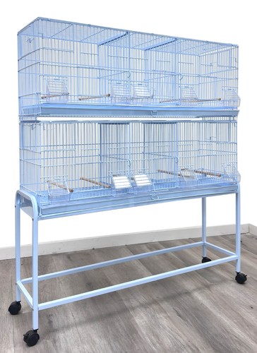 Large triple breeding - 2,