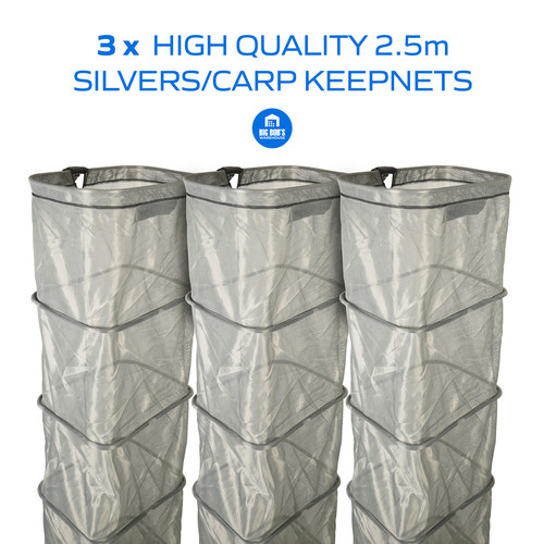 Quality silverfish carp - x,