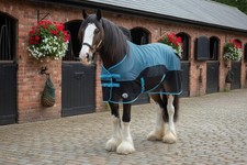 Ruggles Heavy Horse Mesh