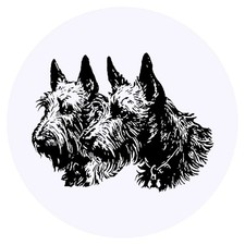 24 x 'Scottish Terrier Couple'