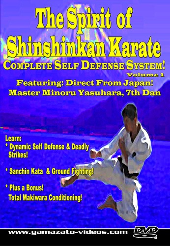 The spirit shinshinkan - spirit,