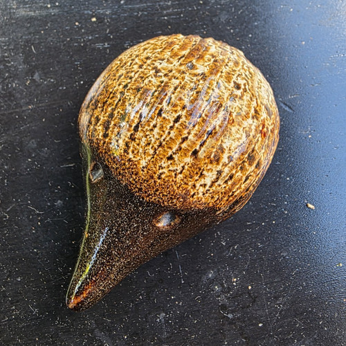 Unmarked glossy brown - glossy, glazed