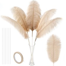 Soarer Champagne Large Ostrich