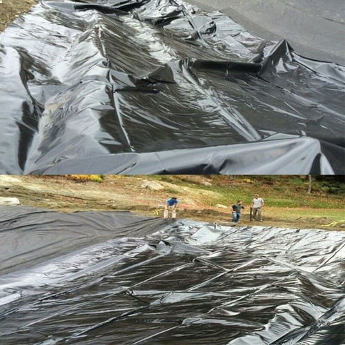 Pond membrane fish liner - pond,