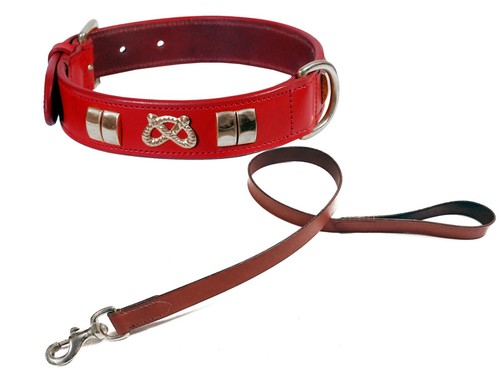 Staffy leather small - small, dog