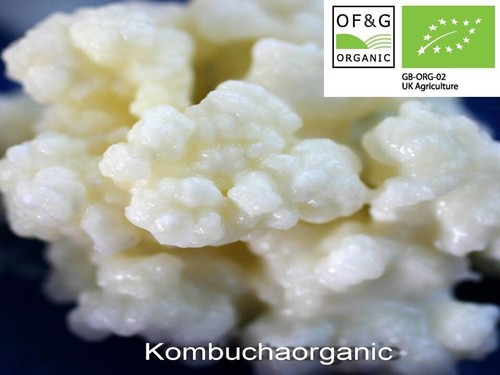 10g certified g organic - certified,
