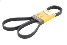 V-ribbed Belt CONTITECH