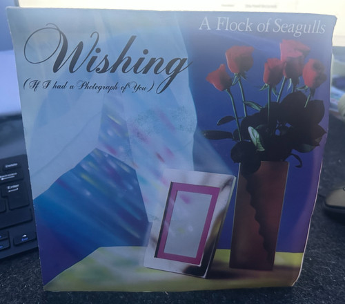 Flock seagulls wishing - a,