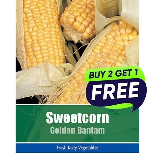 Sweetcorn golden bantam 20 - golden,