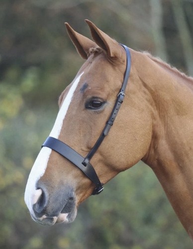 Shires velociti gara - shires,