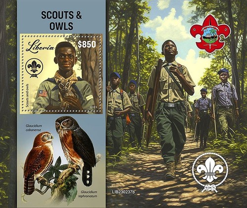 Scouts owls scouting birds - &,