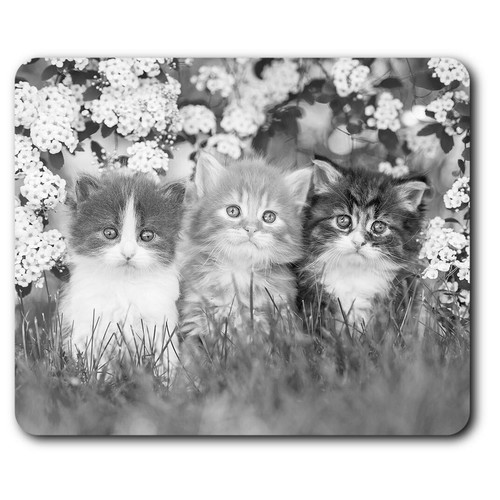 Rectangle mouse mat - rectangle,