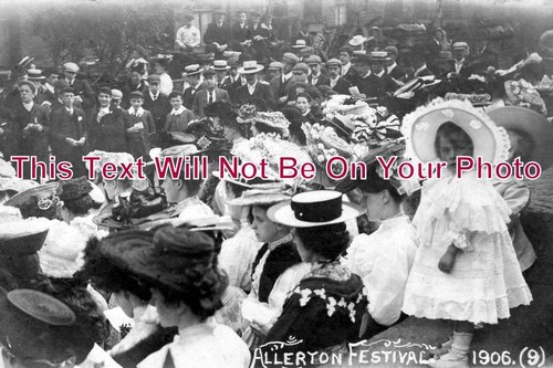 14086 allerton festival - 14086,